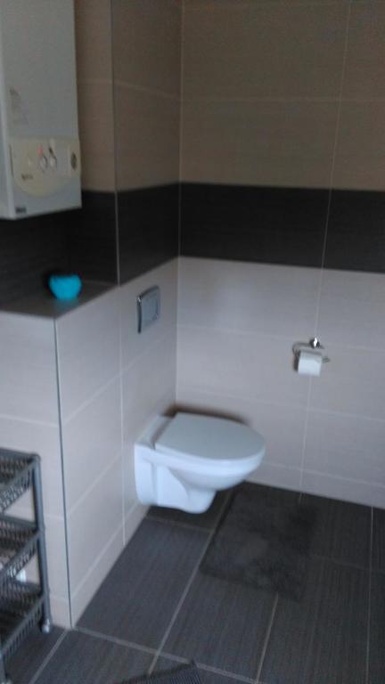 Apartament Tczew-Duze Pokoje! Экстерьер фото